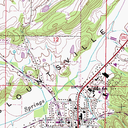Topographic Map of Blountsville Municipal Park, AL