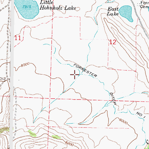 Topographic Map of Forrester Ditch Number 1, CO