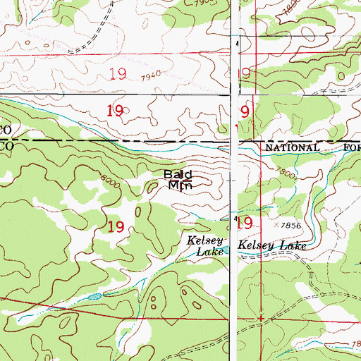Topographic Map of Bald Mountain, CO