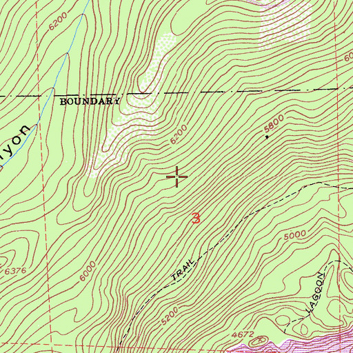 Topographic Map of Big Rock Spring, CA