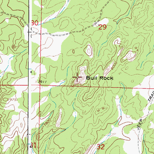 Topographic Map of Bull Rock, CO