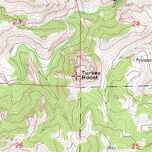 Topographic Map of Turkey Roost, CO