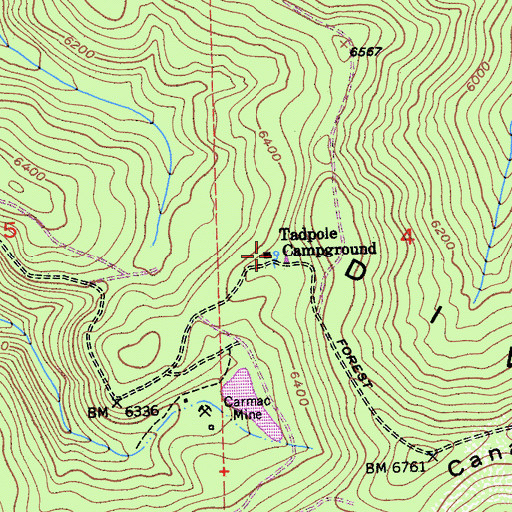 Topographic Map of Tadpole Spring, CA
