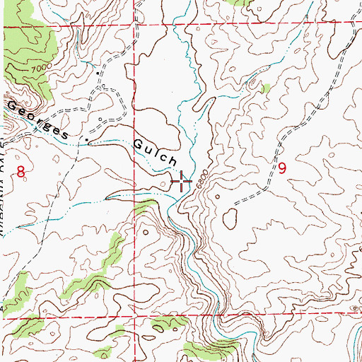 Topographic Map of Georges Gulch, CO