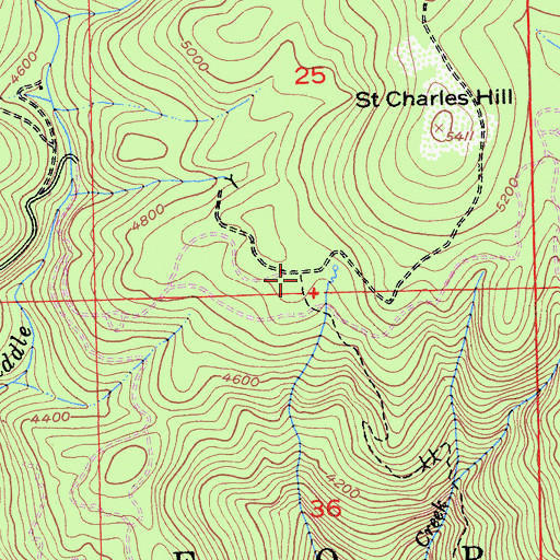 Topographic Map of Saint Charles Ranch (historical), CA