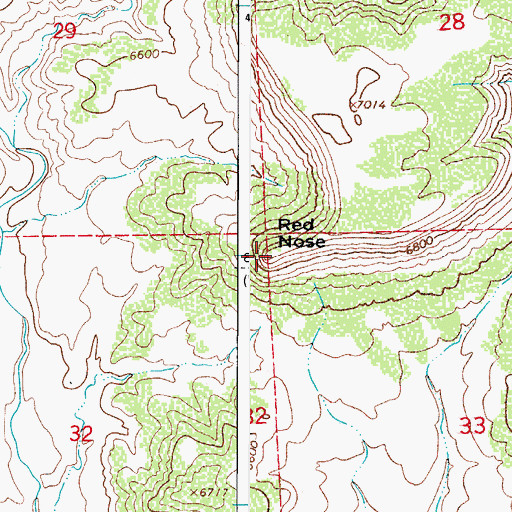 Topographic Map of Red Nose, CO