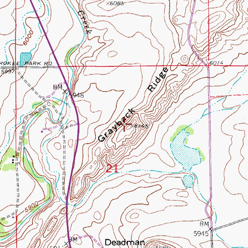 Topographic Map of Grayback Ridge, CO