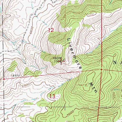 Topographic Map of Livermore Mountain, CO