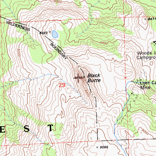 Topographic Map of Black Butte, CA