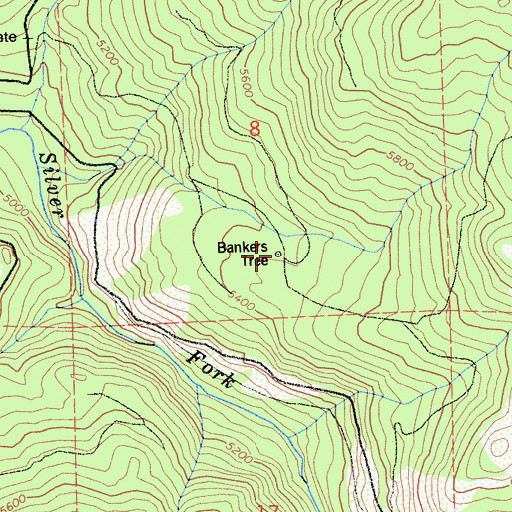 Topographic Map of Bankers Tree, CA