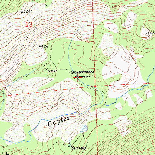 Topographic Map of Government Meadow, CA