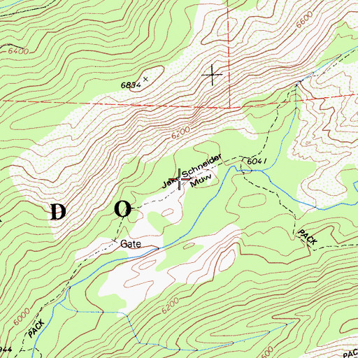 Topographic Map of Jake Schneider Meadow, CA