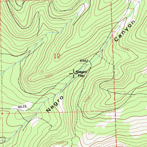 Topographic Map of Negro Flat, CA