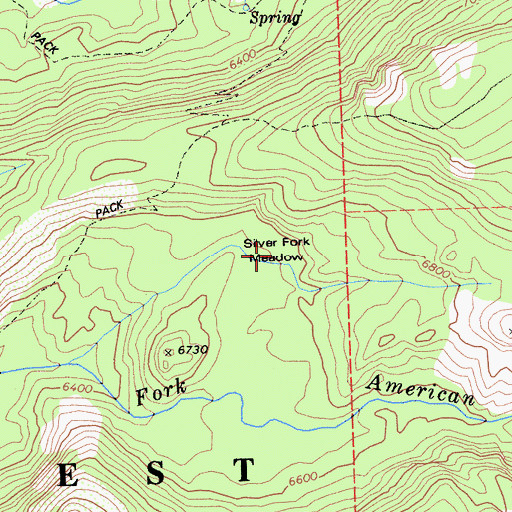 Topographic Map of Silver Fork Meadow, CA
