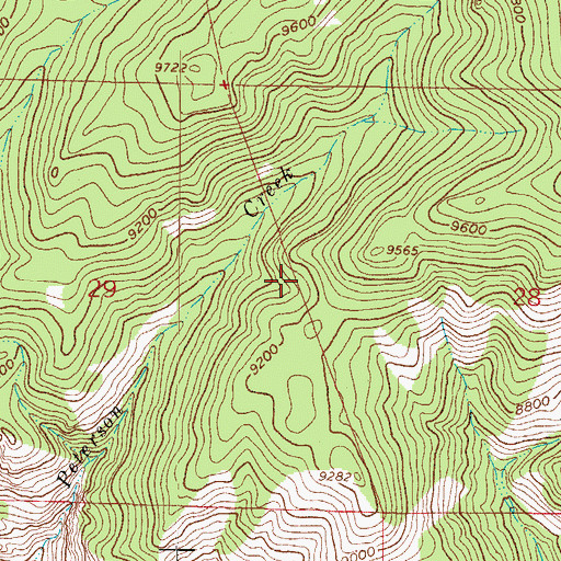 Topographic Map of East Fork Roaring Creek, CO