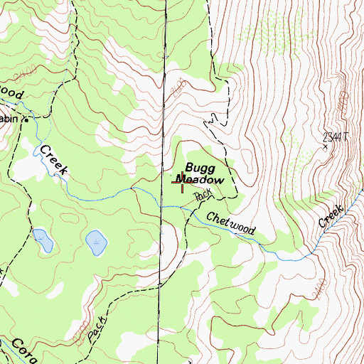 Topographic Map of Bugg Meadow, CA