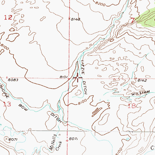 Topographic Map of Lizzie Ditch, CO