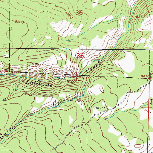 Topographic Map of McGuire Creek, CO