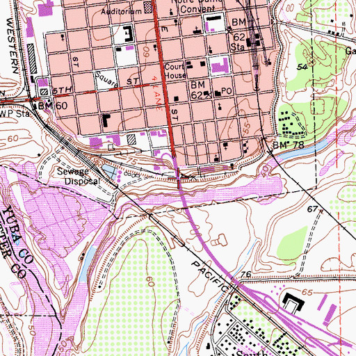 Topographic Map of Bok Kai Temple, CA