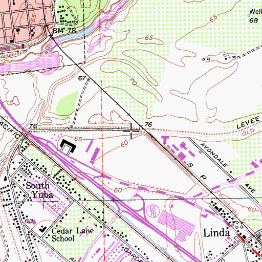 Topographic Map of Dantoni Junction, CA