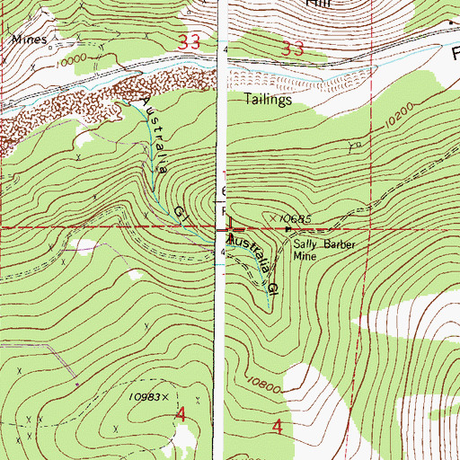 Topographic Map of Leona Mine, CO