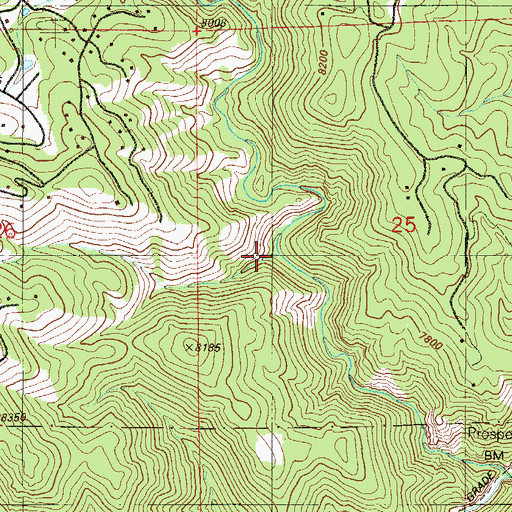 Topographic Map of Ruble Claims Mine, CO