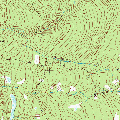 Topographic Map of Lookout Ditch, CO