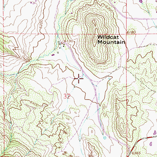 Topographic Map of Wildcat Mine, CO