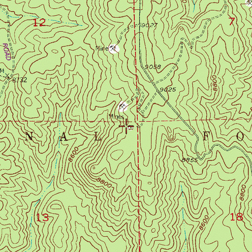 Topographic Map of Baldwin Pegmatite Mine, CO