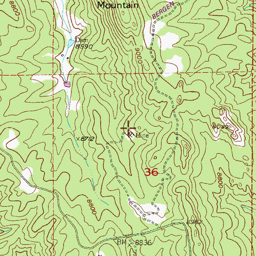 Topographic Map of Little Anna Mine, CO