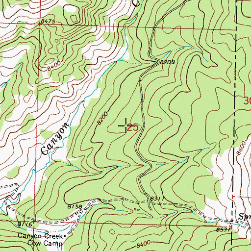 Topographic Map of Canyon Creek Claim Mine, WY