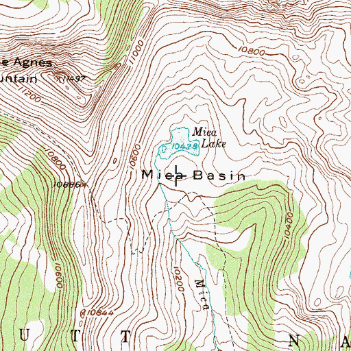Topographic Map of Mica Basin, CO
