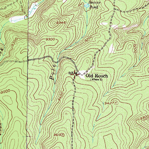 Topographic Map of Old Roach, CO