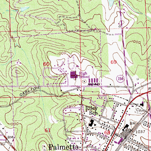Topographic Map of Palmetto Elementary School, GA