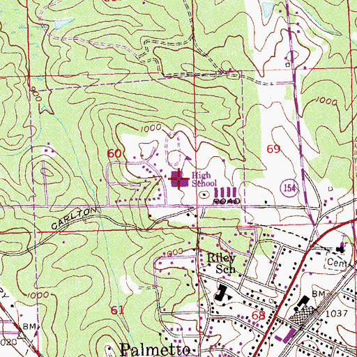 Topographic Map of Palmetto High School, GA