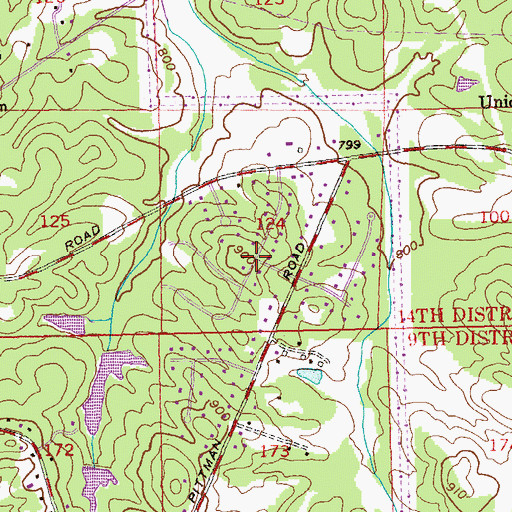 Topographic Map of Pontevedra, GA