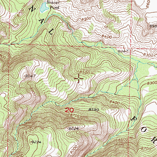 Topographic Map of Middle Fork Grace Creek, CO