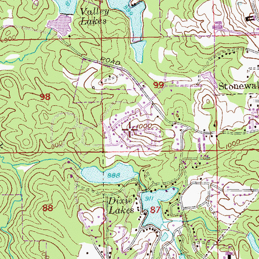 Topographic Map of Wellington, GA