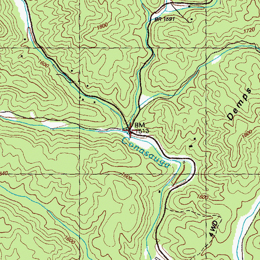 Topographic Map of Conasauga (historical), GA