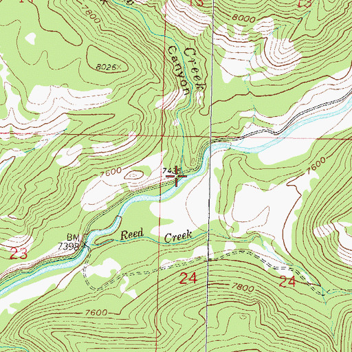 Topographic Map of Willow Creek Canyon, CO