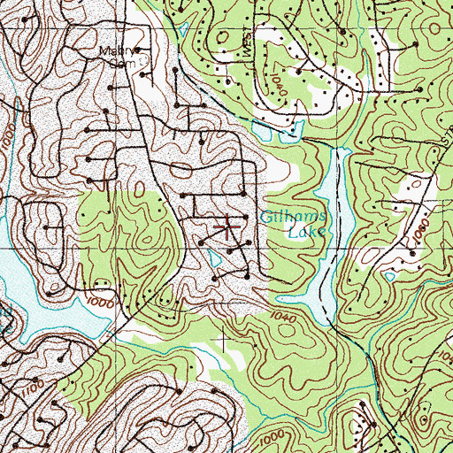 Topographic Map of Hedgerow, GA