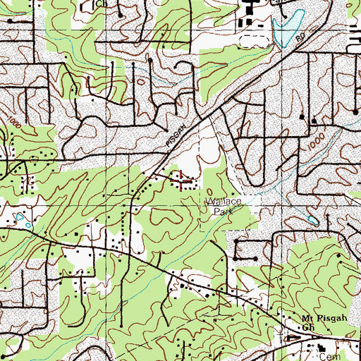Topographic Map of Pisgah Forest, GA
