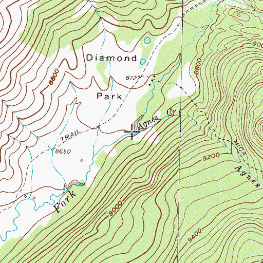 Topographic Map of Agnes Creek, CO