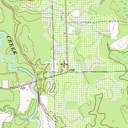 Topographic Map of Pineland Plantation, GA
