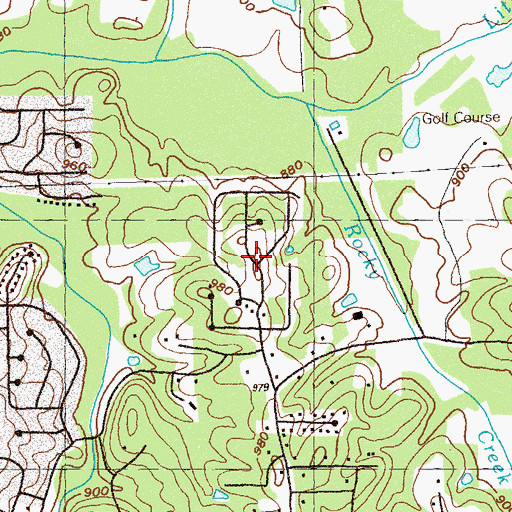 Topographic Map of Willow Tree, GA