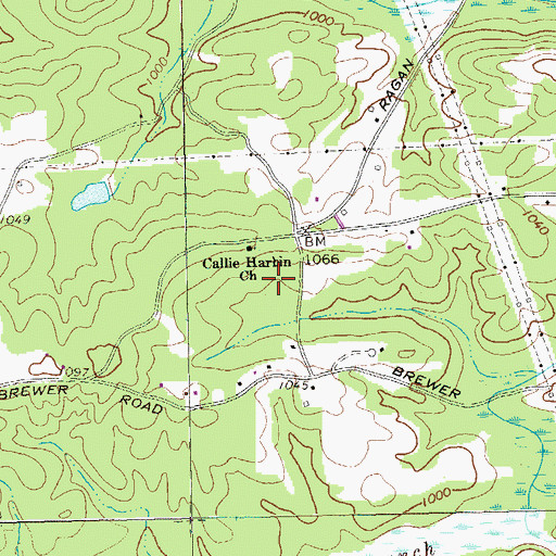 Topographic Map of Roach Prospect, GA