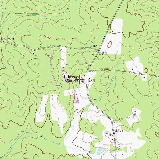 Topographic Map of Liberty Cemetery, GA