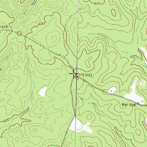 Topographic Map of Oakland Cemetery, GA