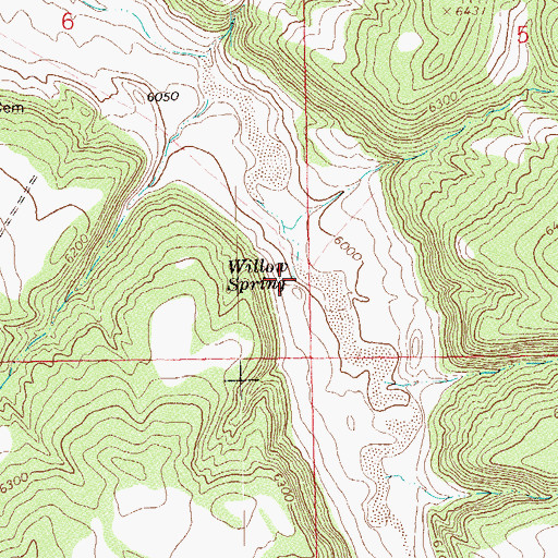 Topographic Map of Willow Spring, CO
