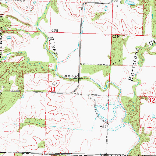 Topographic Map of Rock Bridge, IL